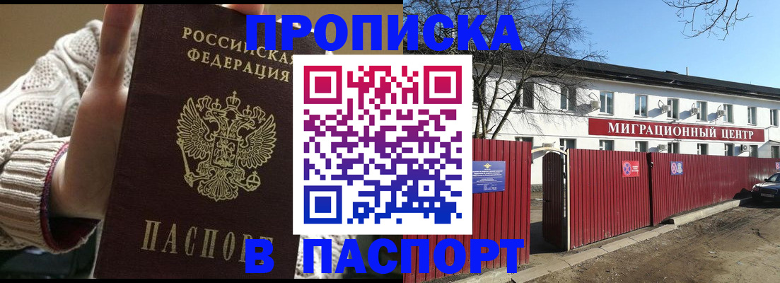 временная регистрация поиск в Курчалом